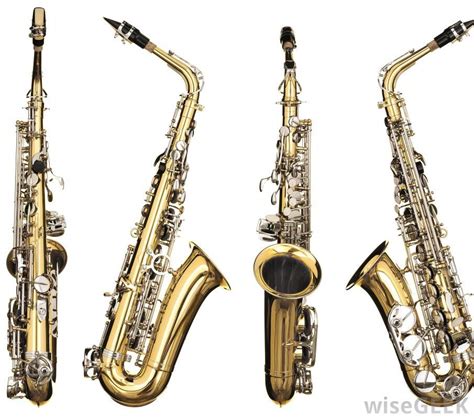 How Do I Choose the Best Saxophone Tuner? (with pictures) | Saxophone, Alto saxophone, Woodwind ...