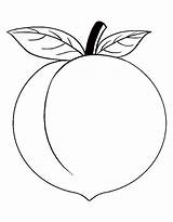 Peach Coloring Pages Free Printable PDF sketch template