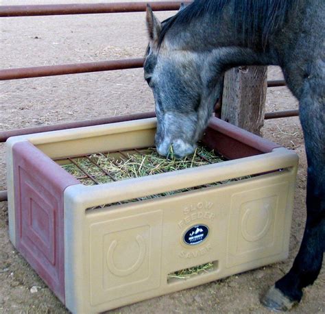 High Country Plastics Slow Feeder Saver Box - Best Source