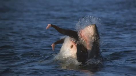 10 Most Dangerous Beaches for Deadly Shark Attacks | Bondi TV