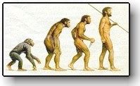 Must Christians Accept Evolution? – Science, POLITICS, & Religion