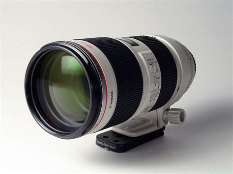 Best Telephoto Zoom Lenses for Canon DSLRs