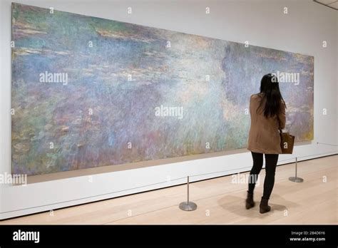 Monet Water Lilies Moma