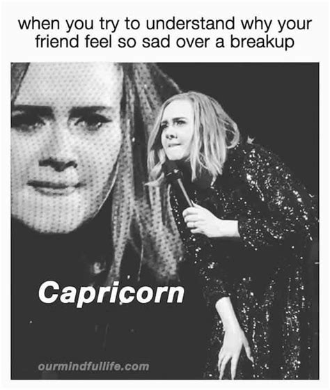 32 Funny Capricorn Memes That Are Calling Out All Cappies - Astrologie | drawingtips