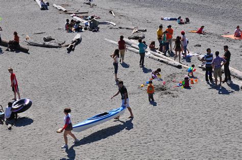 Busy Beach Photograph by Caroline Reyes-Loughrey - Fine Art America