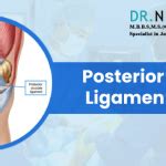 Posterior Cruciate Ligament Surgery | Dr Niraj Vora | Dr Niraj Vora