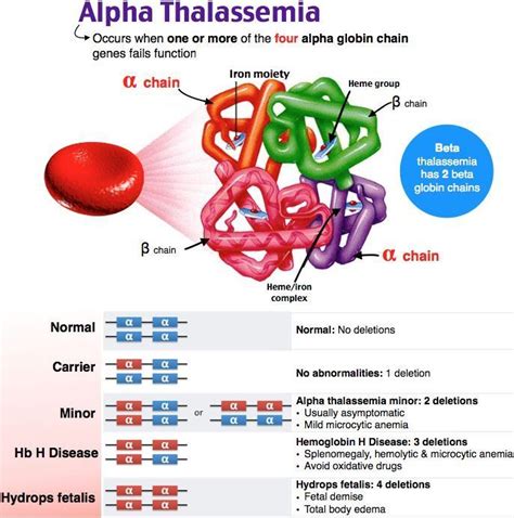 Alpha And Beta Thalassemia : MBBS Medicine (Humanity First): Important presentation ...