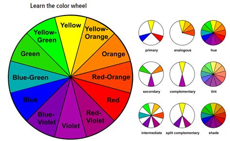 The Wheel of… – Carmel's Education Journey