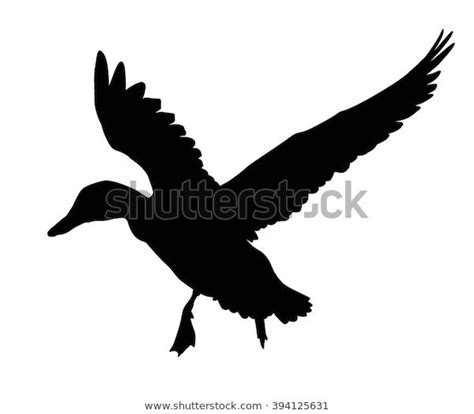 Find Flying Duck Silhouette Vector Eps 8 stock images in HD and ...