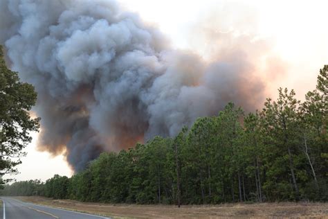 Louisiana’s largest wildfire blamed on arson • Louisiana Illuminator