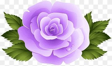 3d Images Of Rose Flower Hd