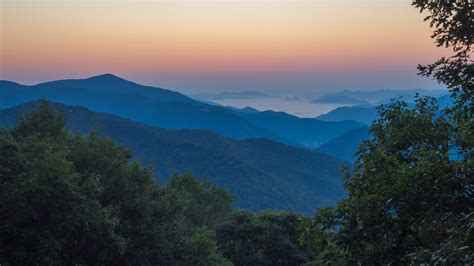 Meanderthals | Balsam Mountain Trail to Laurel Gap, Great Smoky Mountains National Park