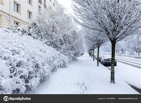 Winter Season Poland Trees Park Heavy Snowfall Gdynia — Stock Photo © sashk0 #181366596