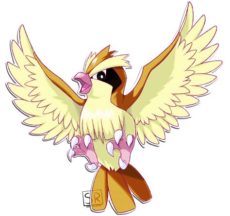 016 Pidgey | Pokemon, Desenhos, Boas ideias