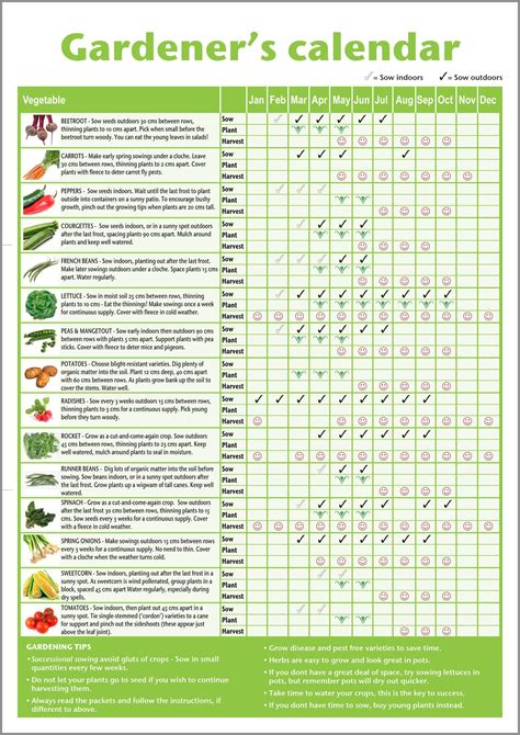 Sacramento Vegetable Planting Calendar