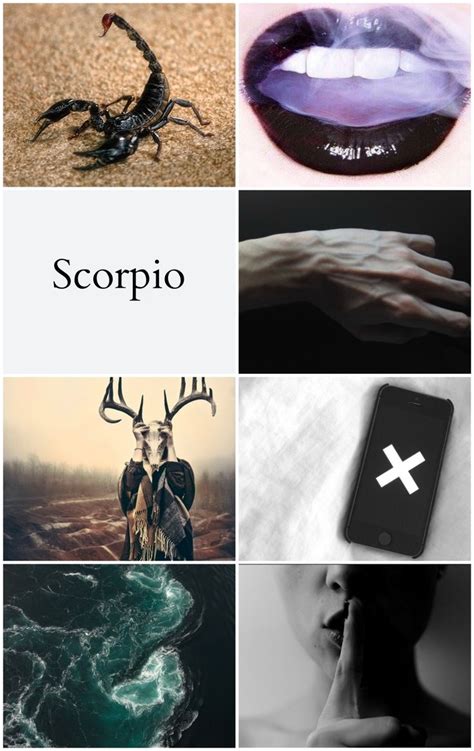 Scorpio Aesthetic | Numerology, Scorpio, Scorpio season