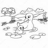 Duck Pond Coloring Page Pages sketch template