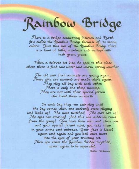 Pin by Cassie Bobo on poems and sayings | Rainbow bridge dog, Rainbow bridge poem, Rainbow bridge