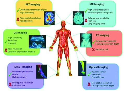 Schematic representation of different molecular imaging techniques.... | Download Scientific Diagram