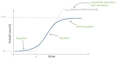 Growth curve