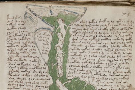 Augoeides: Voynich Manuscript Decoded?