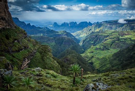 Death above the clouds....Simien Mountains of Ethiopia 2014