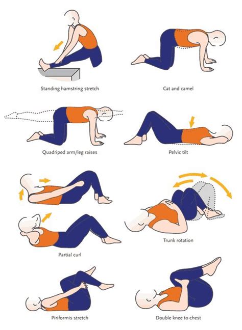 Back Strengthening Exercises: Back Strengthening Exercises 8 Weeks