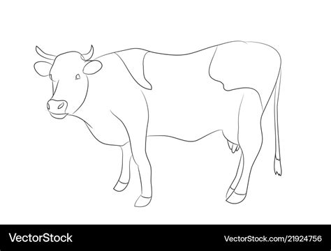 Cow Drawing - Carinewbi