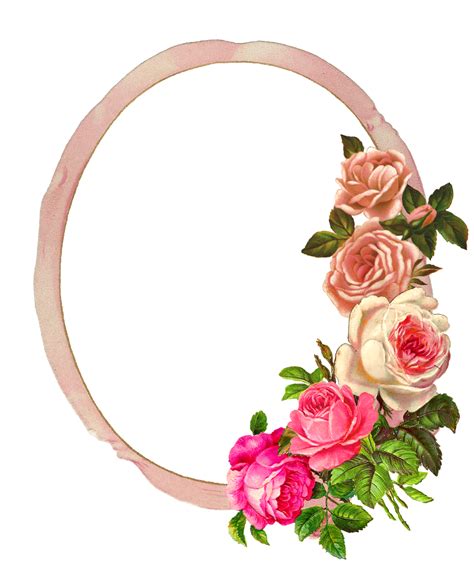 Rose frame png, Rose frame png Transparent FREE for download on ...