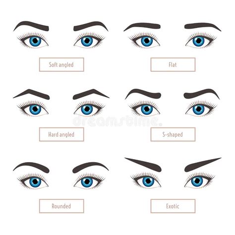 Eyebrow Stock Illustrations – 32,221 Eyebrow Stock Illustrations, Vectors & Clipart - Dreamstime