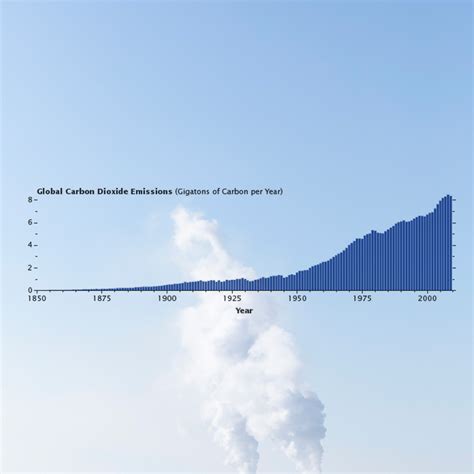 What Is a Carbon Footprint? What It Means and How to Reduce Yours