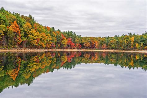 Walden Pond Fall Foliage Concord MA Reflection Trees Photograph by Toby ...