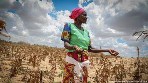 Tackling Africa's climate change challenges – DW