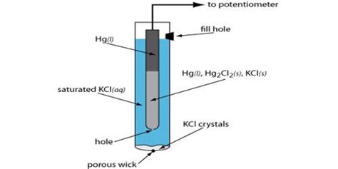 Reference Electrode - Assignment Point