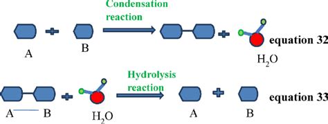 What Is Hydrolysis Reaction In Chemistry With Examples