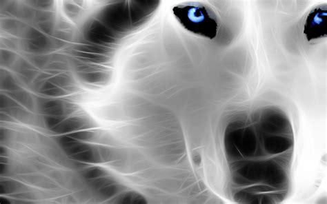 Neon Wolf Wallpapers - Top Free Neon Wolf Backgrounds - WallpaperAccess