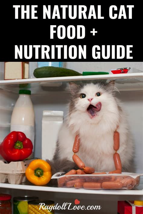 The Natural Cat Food and Nutrition Guide