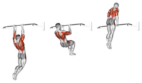 The Ultimate Guide To Muscle-Up: Tips, Techniques, Benefits