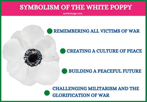 White Poppy – Symbolism and Meaning - Symbol Sage