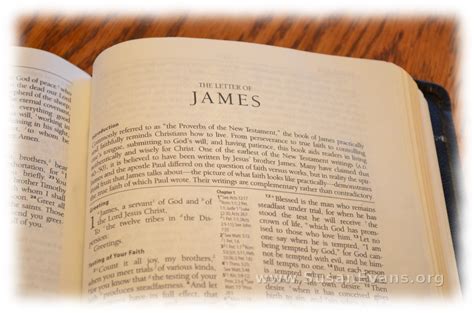 Summary of the book of james in the bible - mufoo