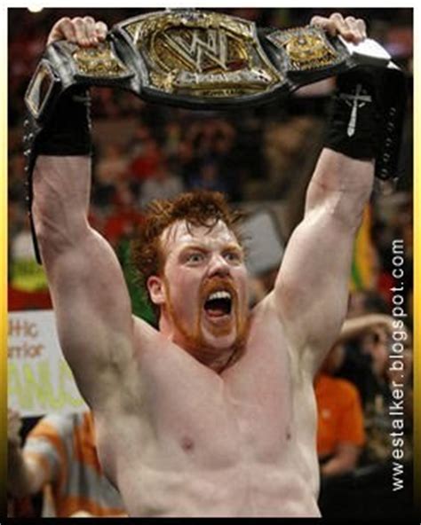 Sheamus - WWE Champion - Sheamus Photo (15822455) - Fanpop