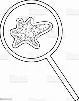 Coloring Page With Amoeba Under Magnifying Glass Isolated On White  sketch template