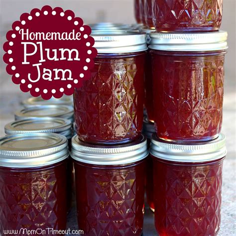 Homemade Plum Jam Recipe - Mom On Timeout