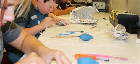 Burpee Museums 2024 Summer Day Camp: Earth Explorers, July 15-19, Burpee Museum of Natural ...