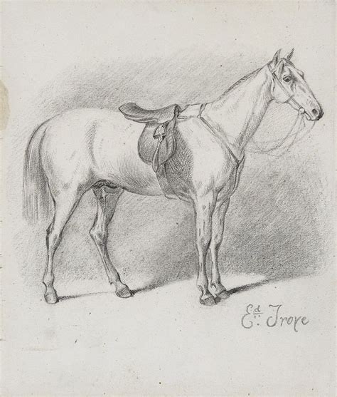 Horse with Hunting Tack, Edward Troye 1808-1874 | Horses, Painting ...