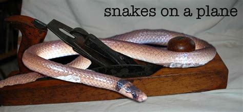 Snakes on a plane by sadguyfaebrechin on DeviantArt