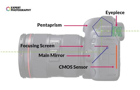 What Is The Camera Viewfinder And How Does It Work | expertphotography