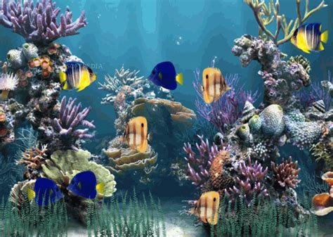 Info Terbaru Free Animated Aquarium Desktop, Gambar Keramik