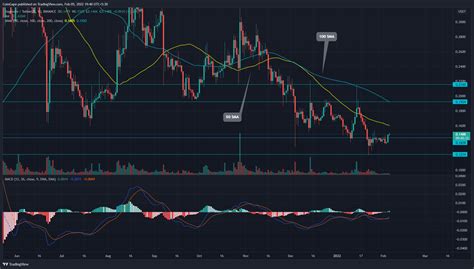 Cryptocurrency Price Today: Are Meme Coins Finally Showing Signs of Bullish Reversal?