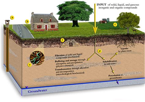 Frontiers | Soil “Ecosystem” Services and Natural Capital: Critical ...